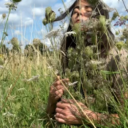 Claire has her eyes closed and is entangled with wild carrots. She's hugging them slightly with a deep sense of peacefulness and connection with them and Hackney Marshes.