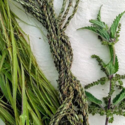 Nettle cordage